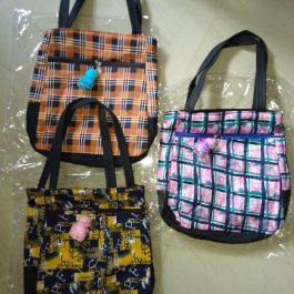 thaila bag